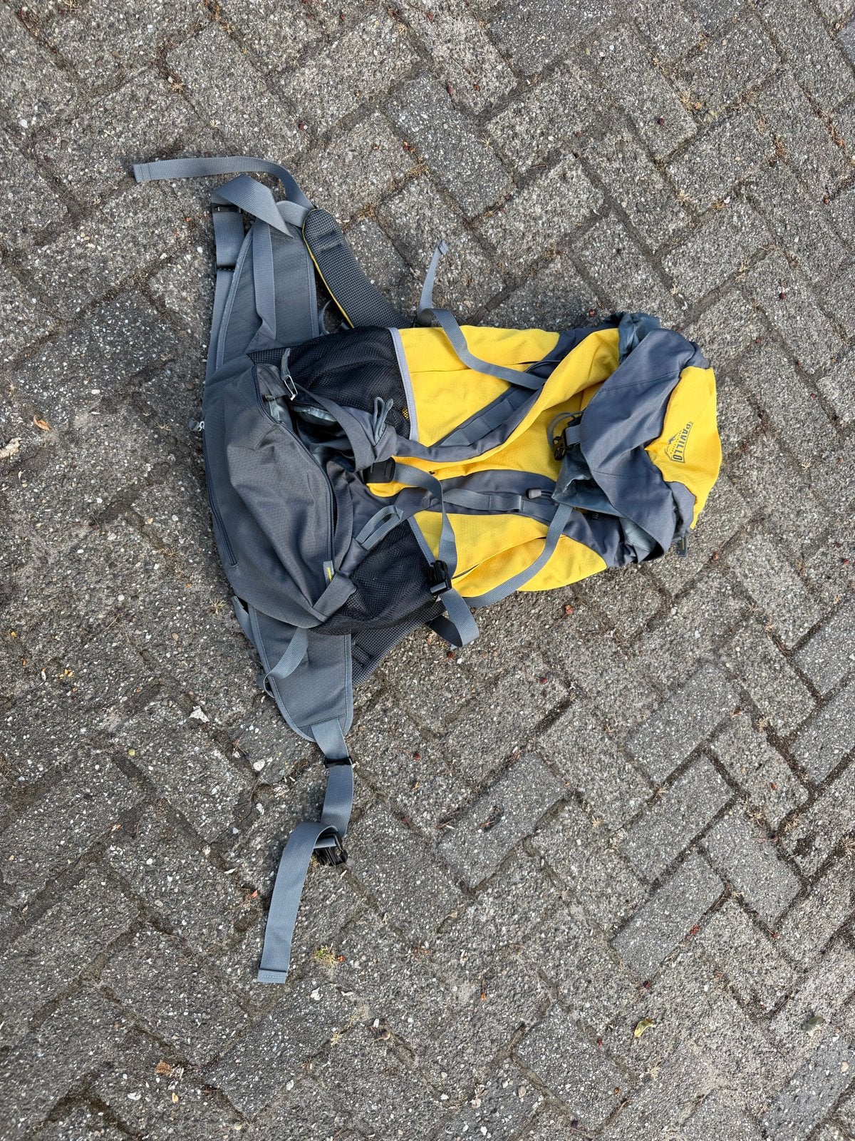 Gele en grijze rugtas - nooit gebruikt!, 25 tot 40 cm, Nieuw, Trekking, Ophalen