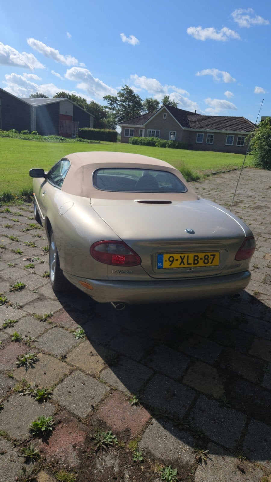 Jaguar XK8 4.0 Convertible 1999 Bruin, foto 2