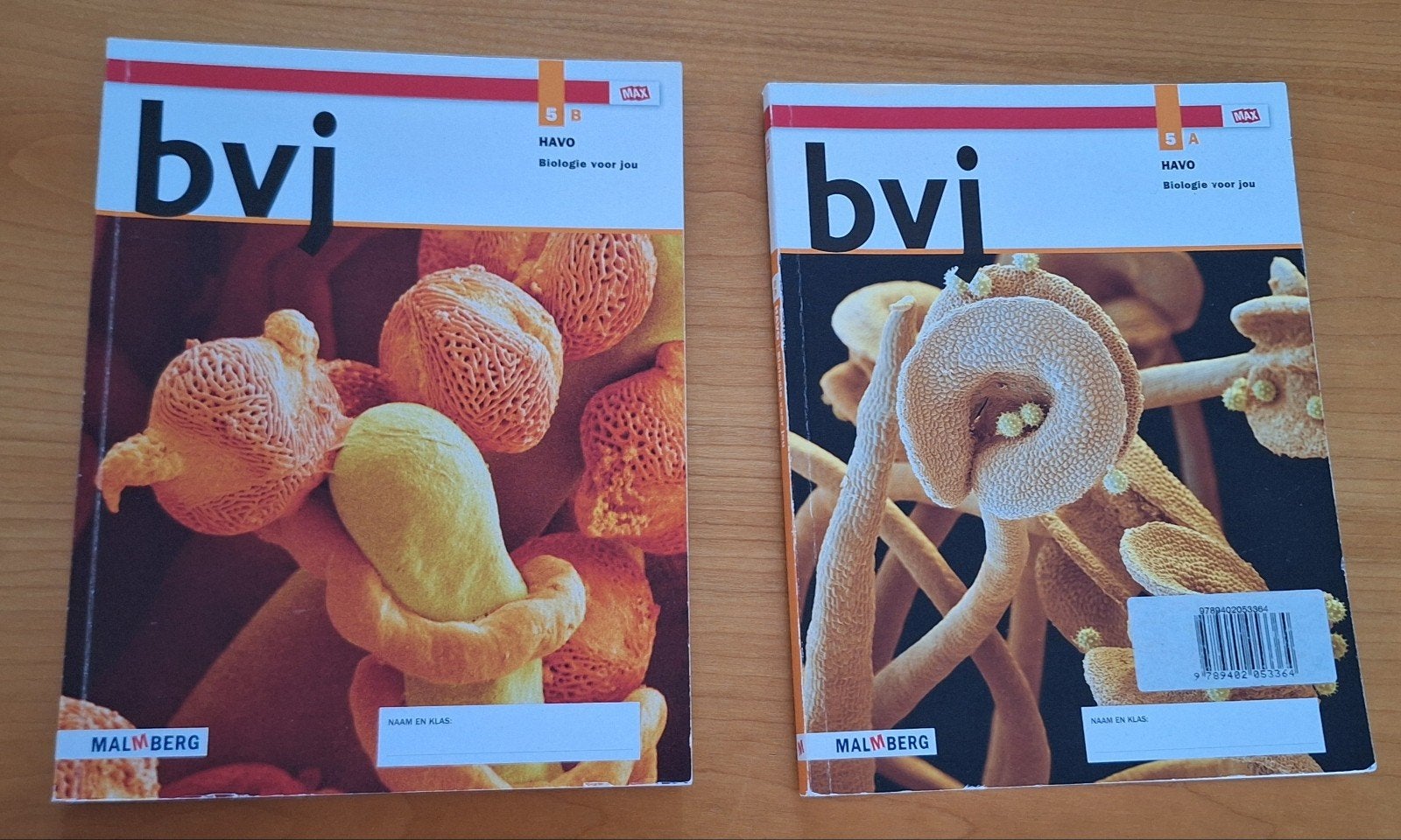 Biologie voor jou havo 5 a & b, Boeken, Malmberg, Biologie, HAVO, Ophalen of Verzenden