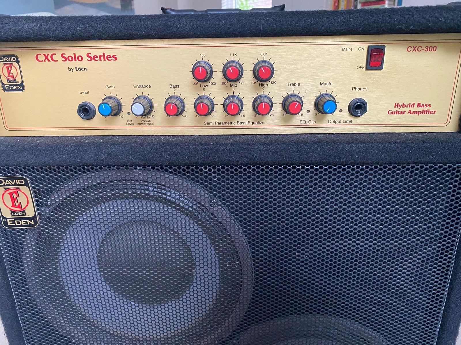 David Eden CXC300 Hybrid Bass Gitaarversterker, Ophalen, Gebruikt, Basgitaar, 100 watt of meer