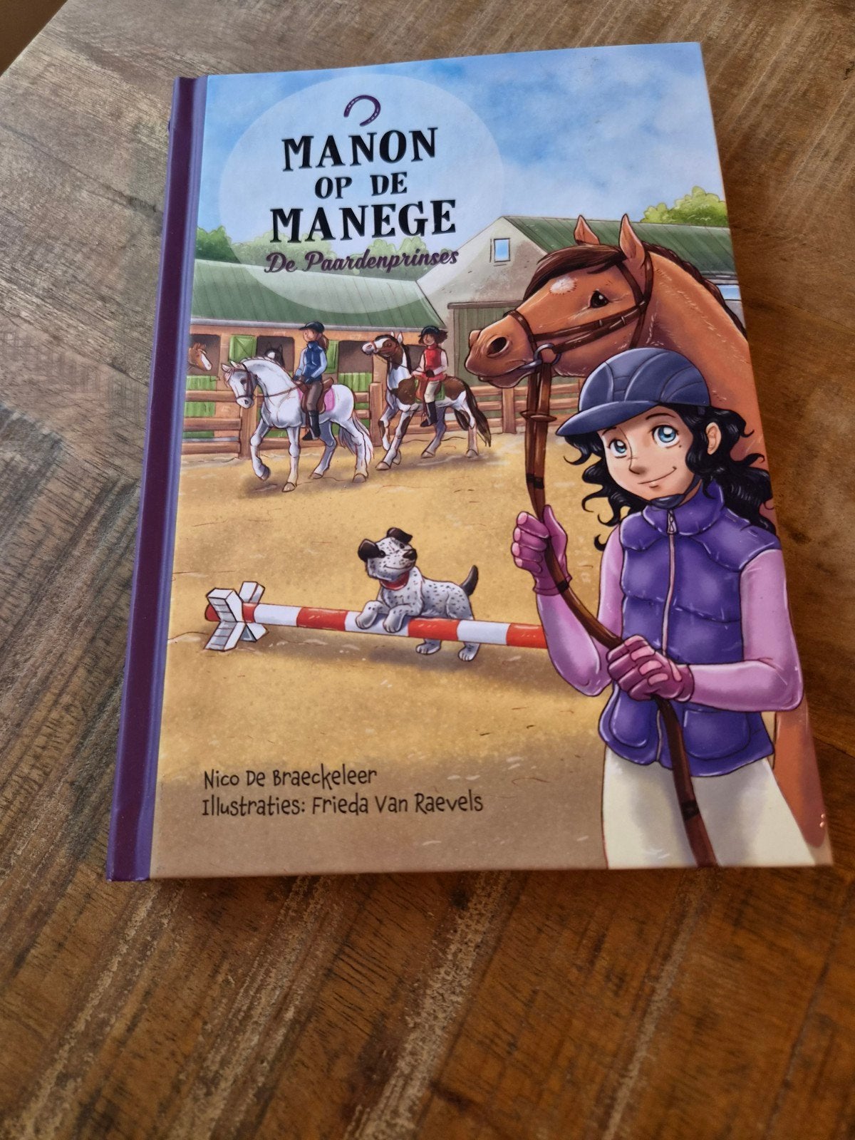 Nico De Braeckeleer - De paardenprinses, Ophalen of Verzenden, Zo goed als nieuw, Fictie algemeen, Nico De Braeckeleer