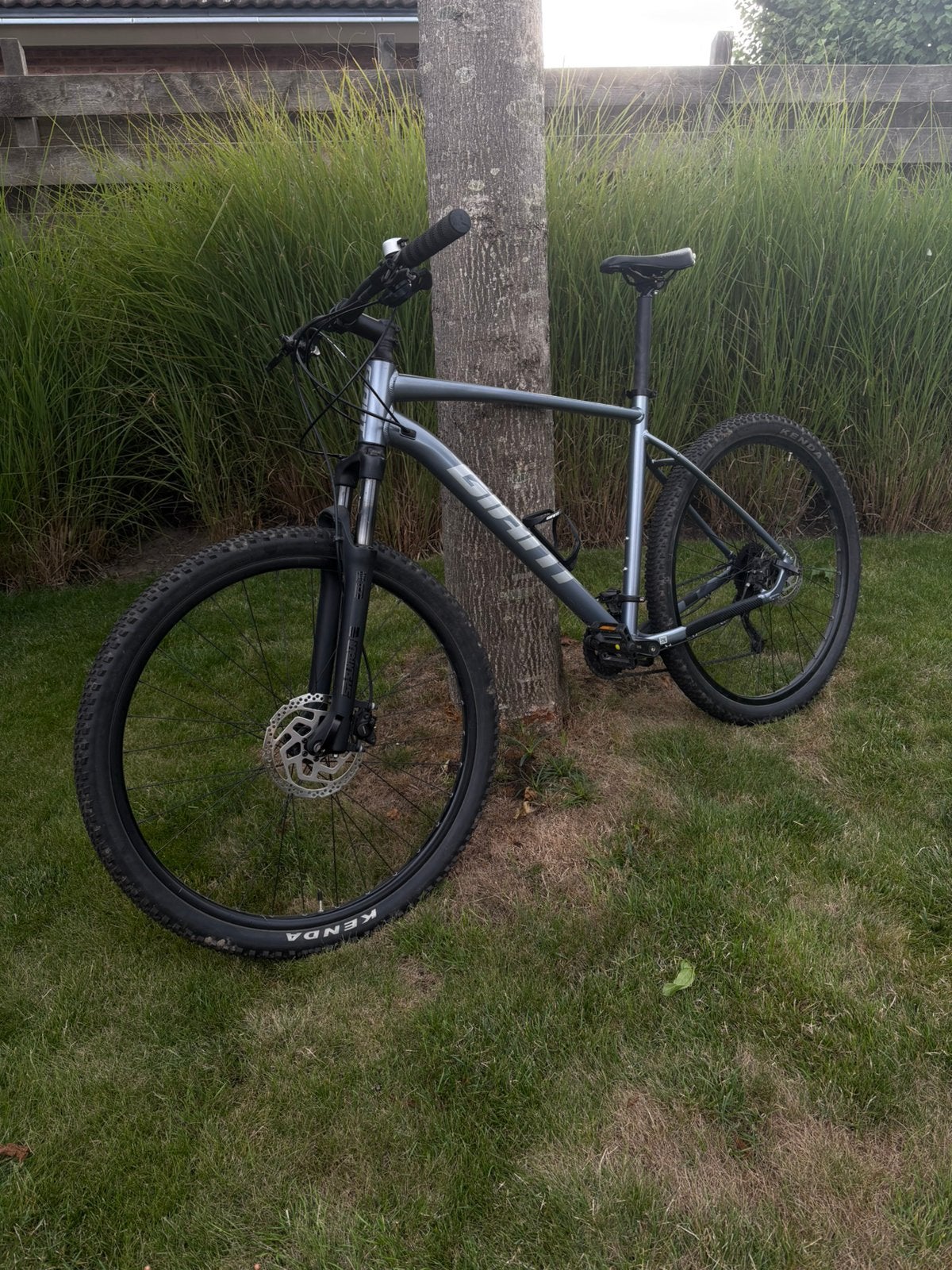 Giant Mountainbike 29 inch XL frame, Ophalen, Gebruikt, 57 cm of meer, Hardtail