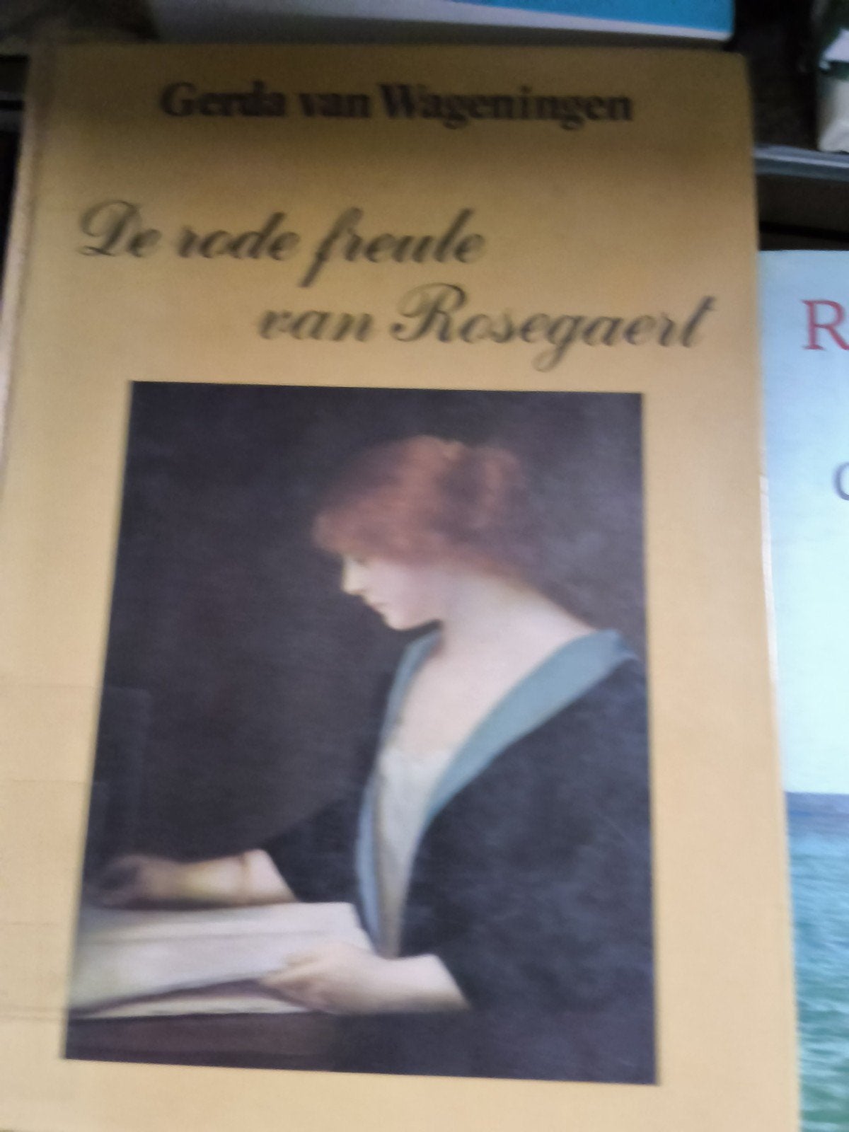 Diverse boeken: Thriller, Roman, Klassiekers, Boeken, Ophalen of Verzenden, Gelezen, Diverse auteurs, Nederland