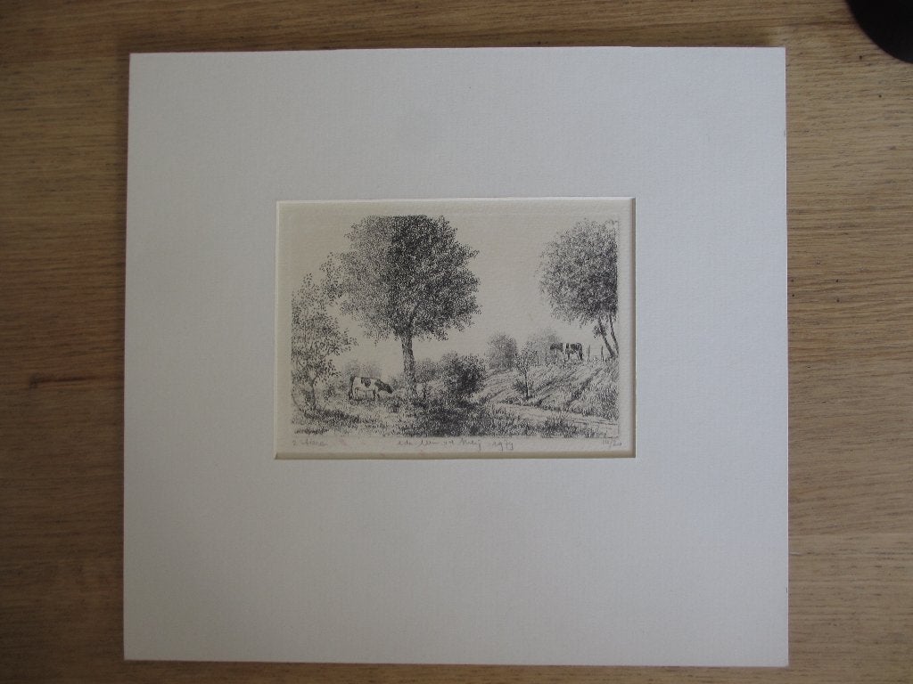 Ets Wim van der Meij "2 stieren" (1979), Antiek en Kunst, Ophalen of Verzenden, 16 cm, Landschap, 20 cm