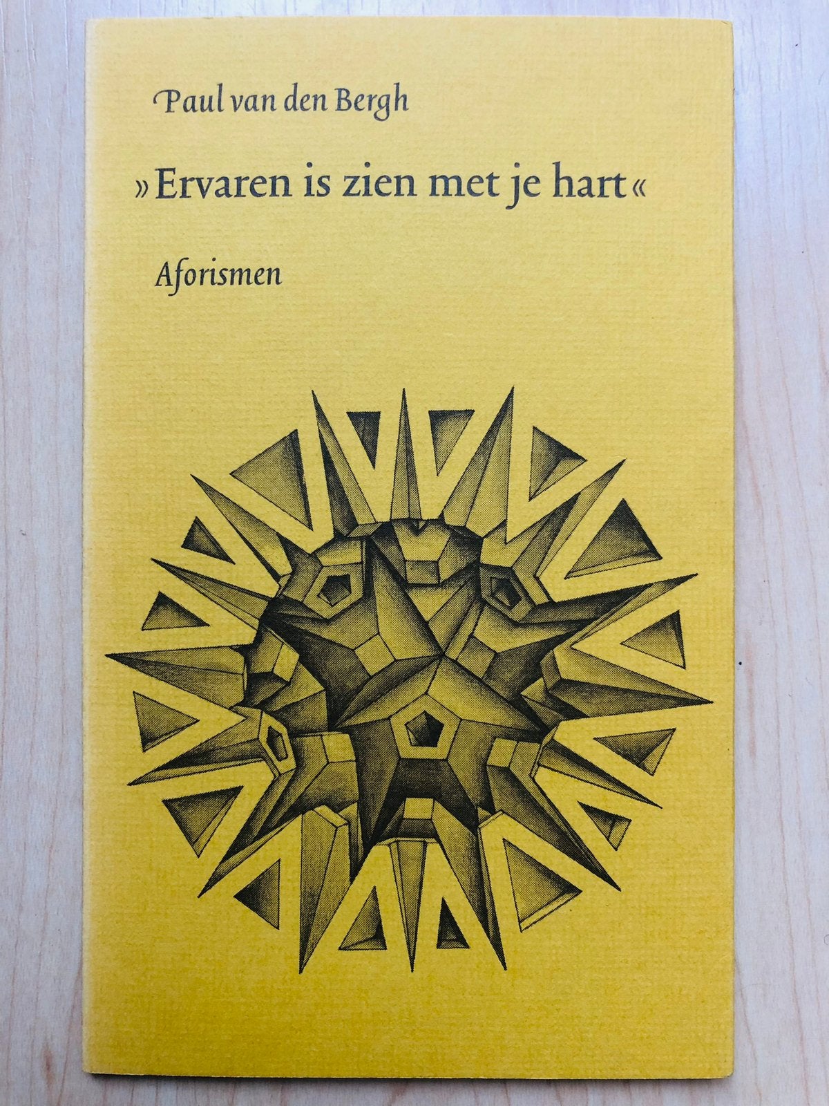 Ervaren is zien met je hart - Paul van den Bergh (aforismen), Ophalen of Verzenden, Zo goed als nieuw