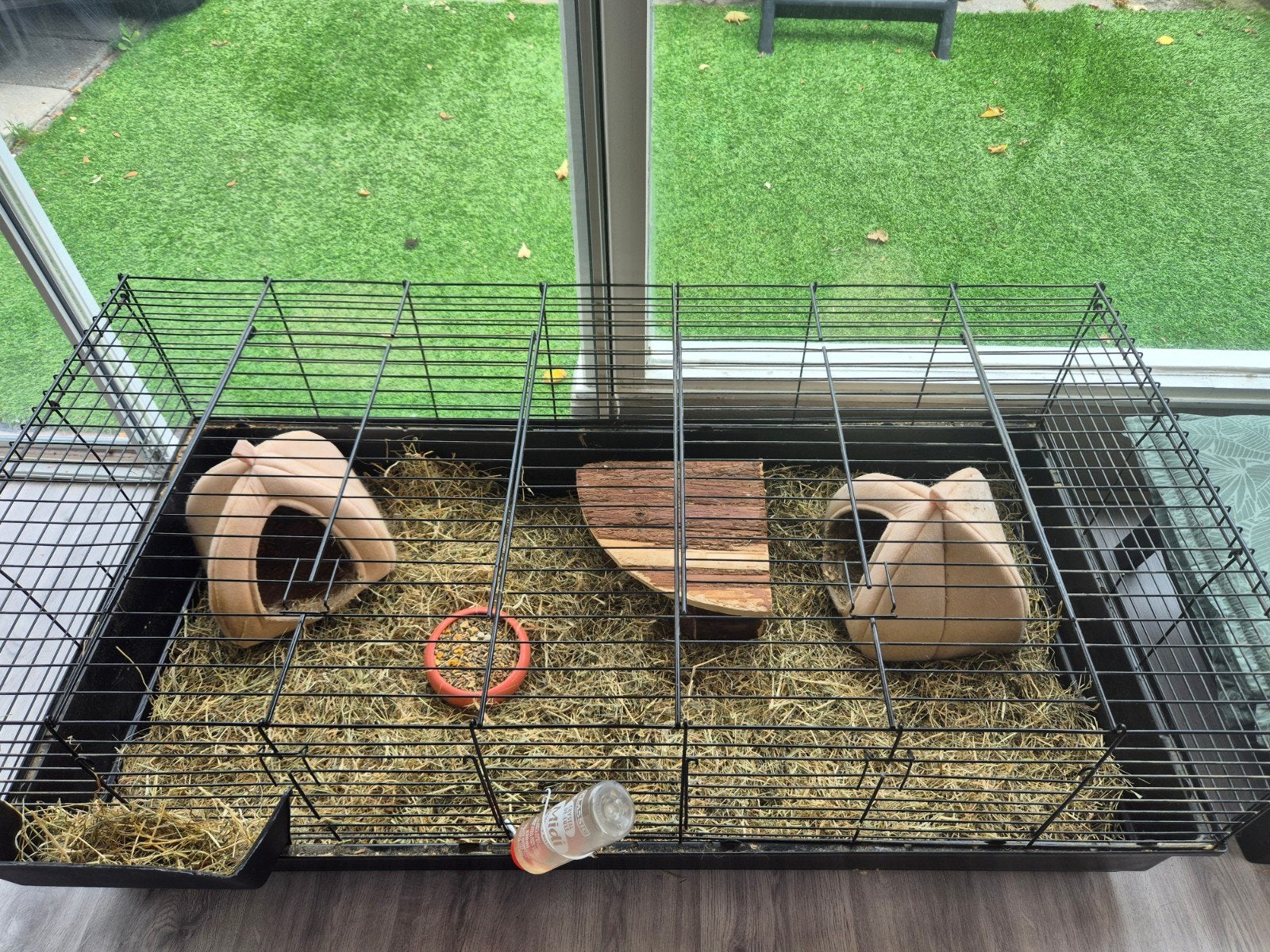2 lieve mannelijke cavia’s met groot hok – 135 x 65 cm, 110 cm of meer, Hok, Cavia, Ophalen