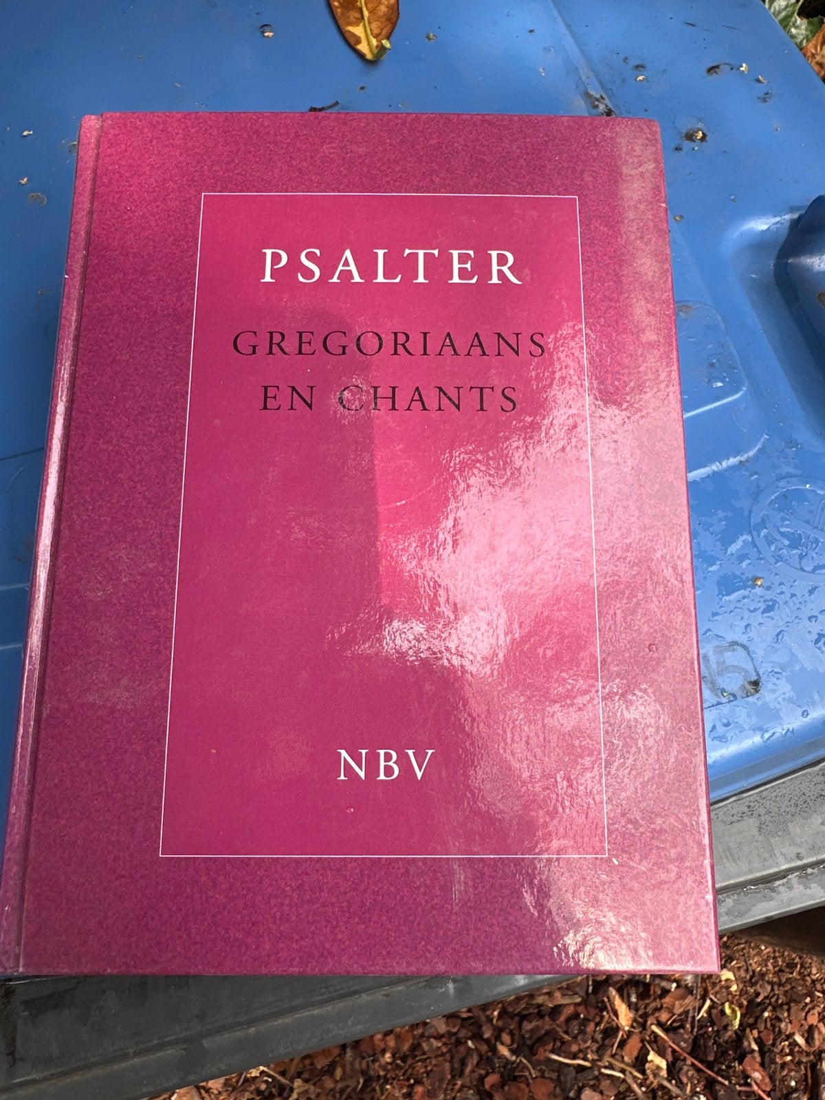 Psalter Gregoriaans en Chants NBV - Kerkboek, Ophalen, Zo goed als nieuw, Christendom | Katholiek