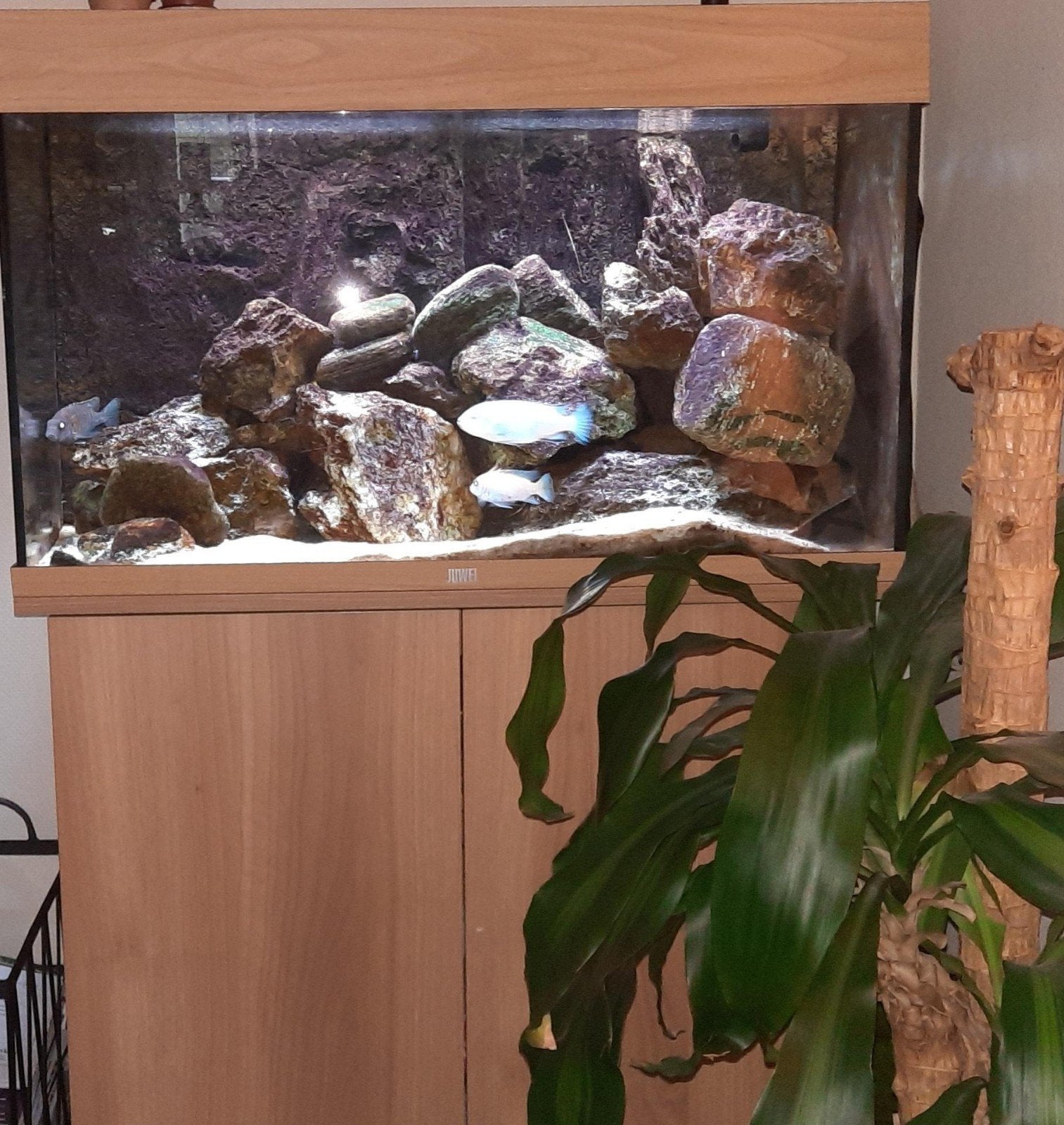 wegens emigratie te koop: aquarium en filter, Ophalen, Inclusief toebehoren, Leeg aquarium