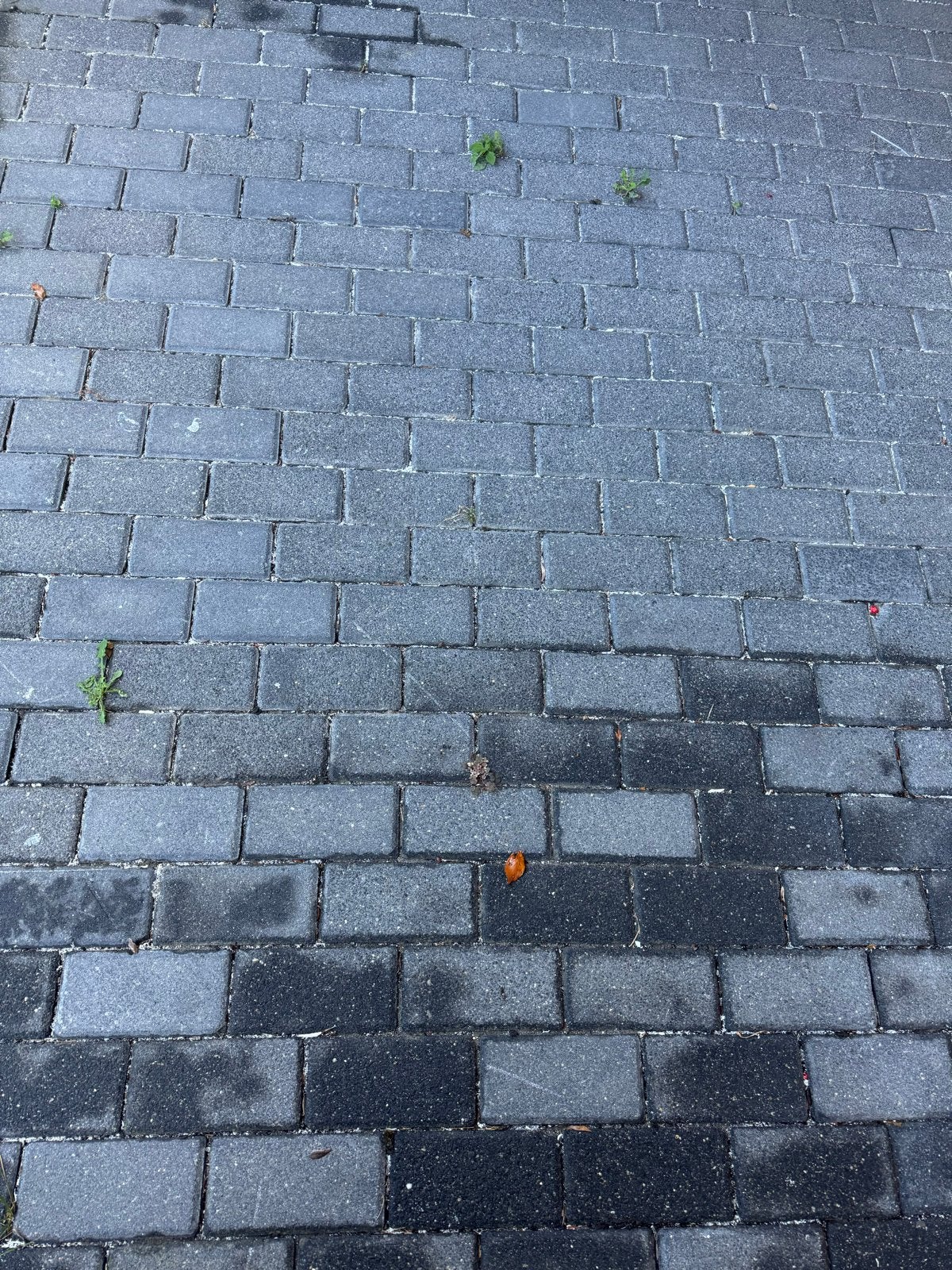 Beton tegels verwijderen en gratis ophalen, Tuin en Terras, Ophalen of Verzenden, Gebruikt, Beton, Terrastegels
