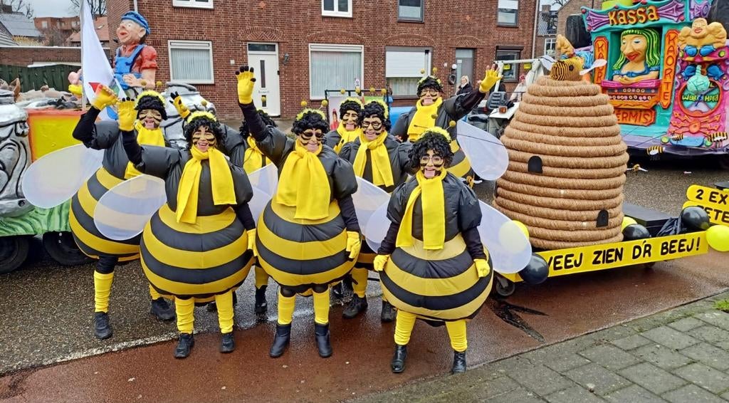 Carnavals loopgroep 10 pers. BIJEN met KORF en accessoires, Ophalen, Zo goed als nieuw, Kostuum, Carnaval