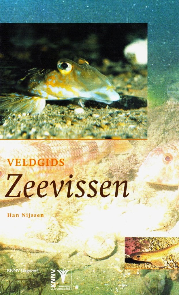 Veldgids Zeevissen - Han Nijssen / 9789050111393, Boeken, Han Nijssen & Thijs Keijzer (Tekeningen), Ophalen of Verzenden, Zo goed als nieuw