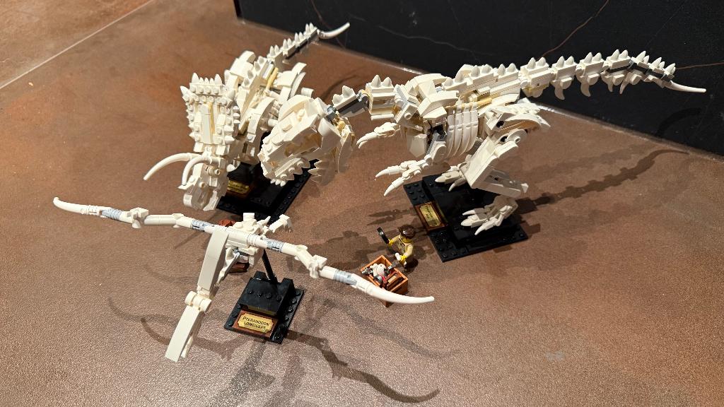 Lego 21320 Dinosaurusfossielen ZGAN, Lego, Ophalen of Verzenden, Compleet, Complete set