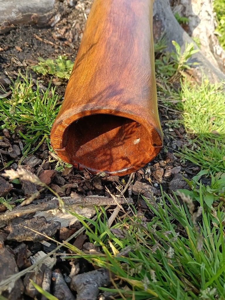 Didgeridoo, Muziek en Instrumenten, Blaasinstrumenten | Didgeridoos, Ophalen, Zo goed als nieuw