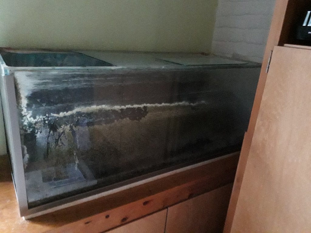 Aquarium;, Dieren en Toebehoren, Ophalen, Gebruikt, Leeg aquarium