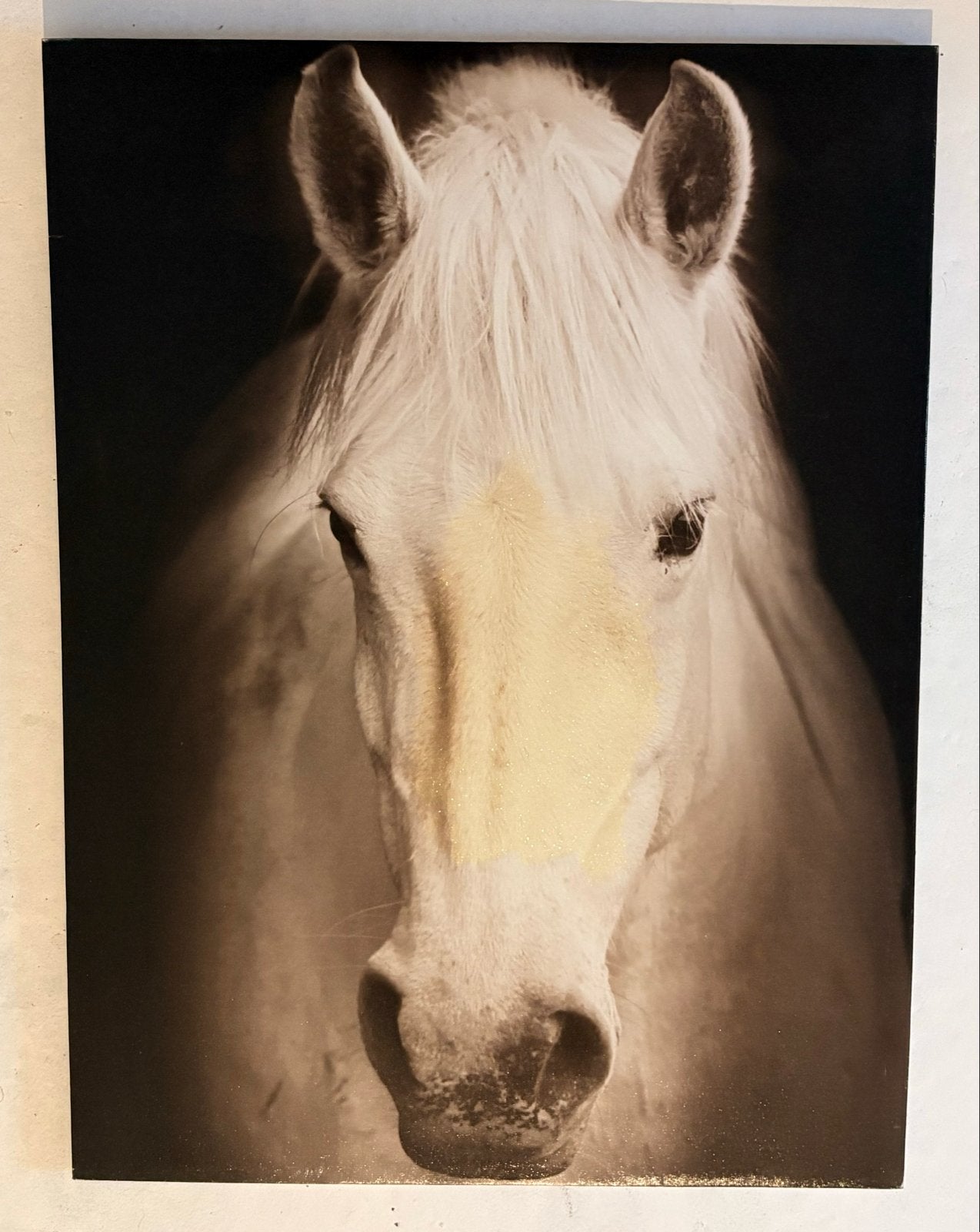 Canvas met paard - 60x90 cm, Ophalen, 75 – 100, 50 tot 75 cm, Print