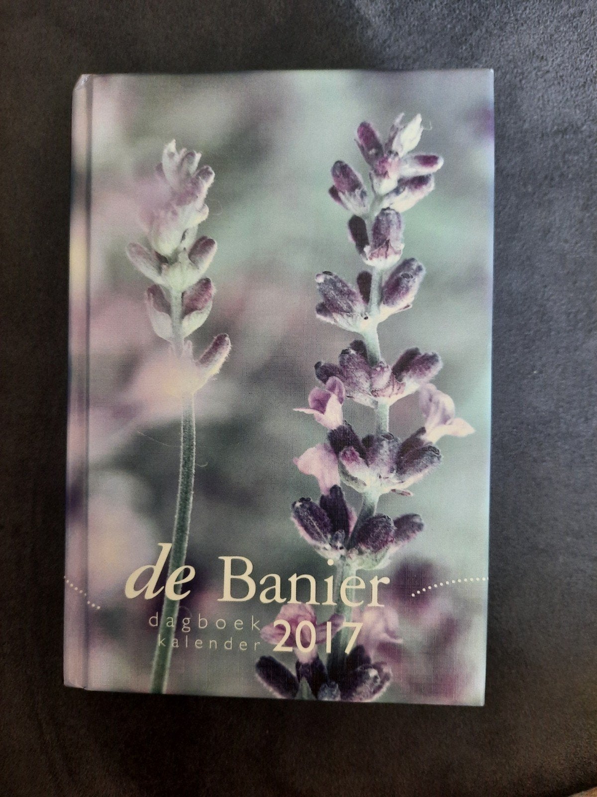 De Banier dagboekkalender 2017, Ophalen of Verzenden, Zo goed als nieuw, Diverse predikanten