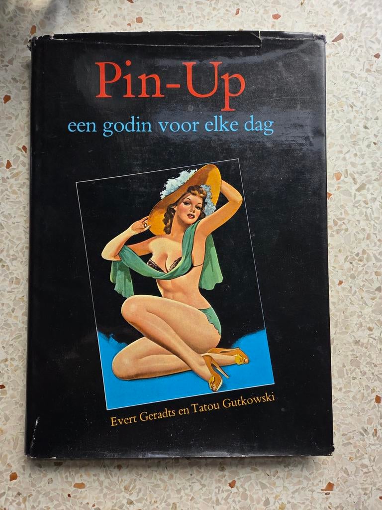 pin up een godin voor iedere dag, Boeken, Verzenden, Zo goed als nieuw, Fotografen