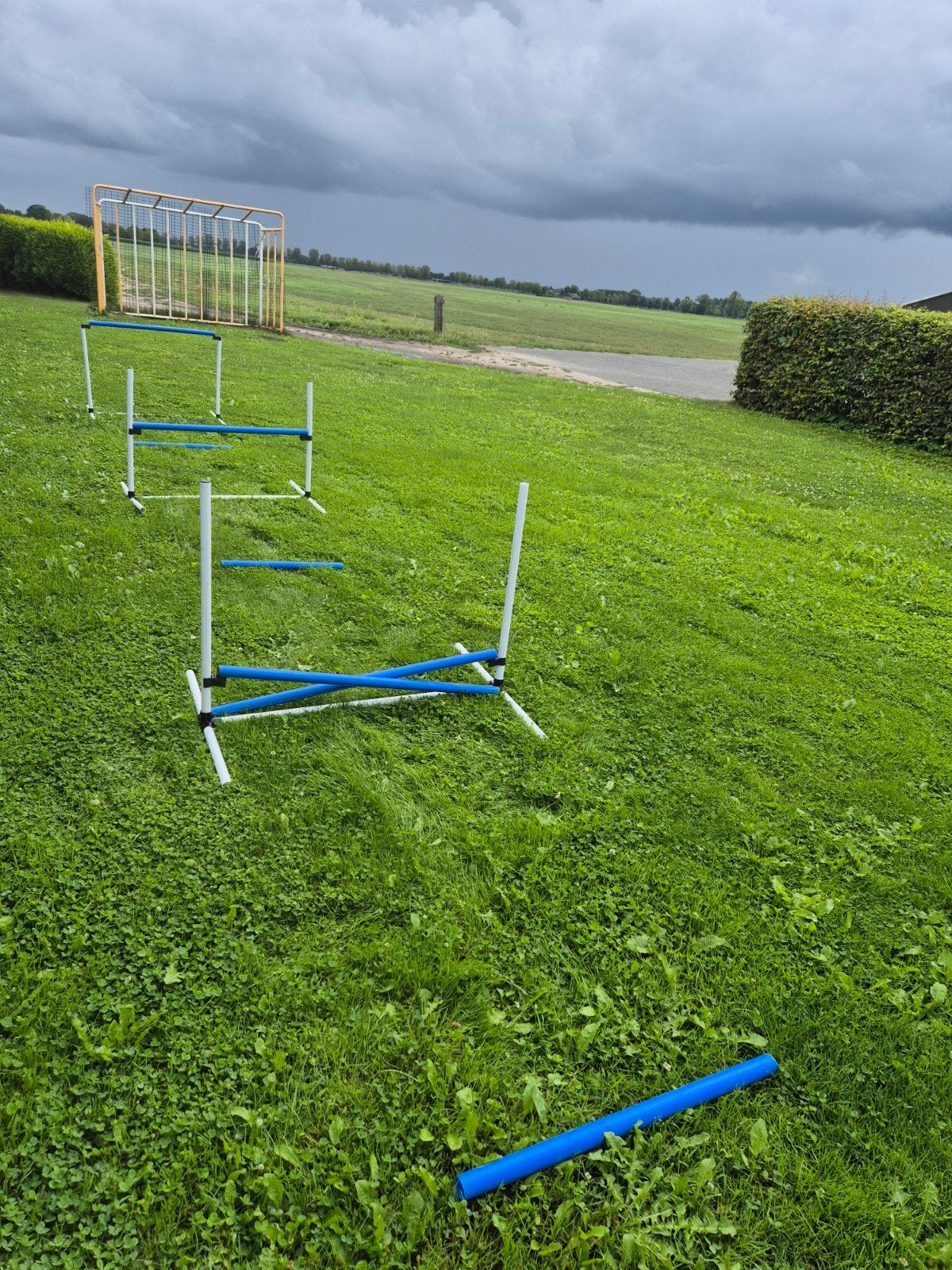 honden/ hobby horse trainingsset inclusief tas, Ophalen