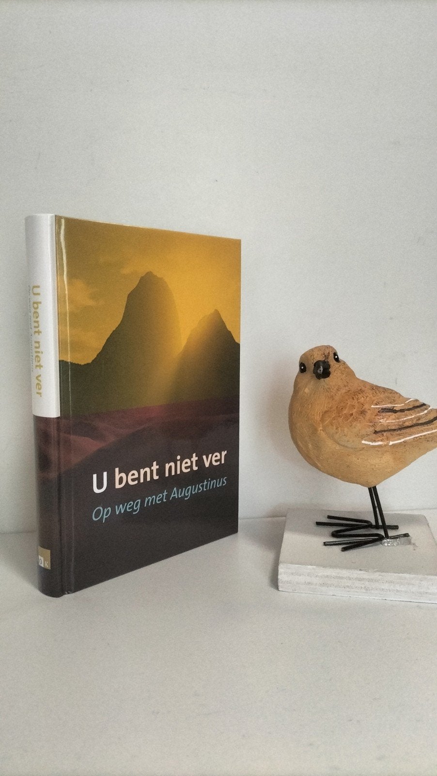 Augustinus, U bent niet ver, Ophalen of Verzenden, Gelezen, Christendom | Katholiek