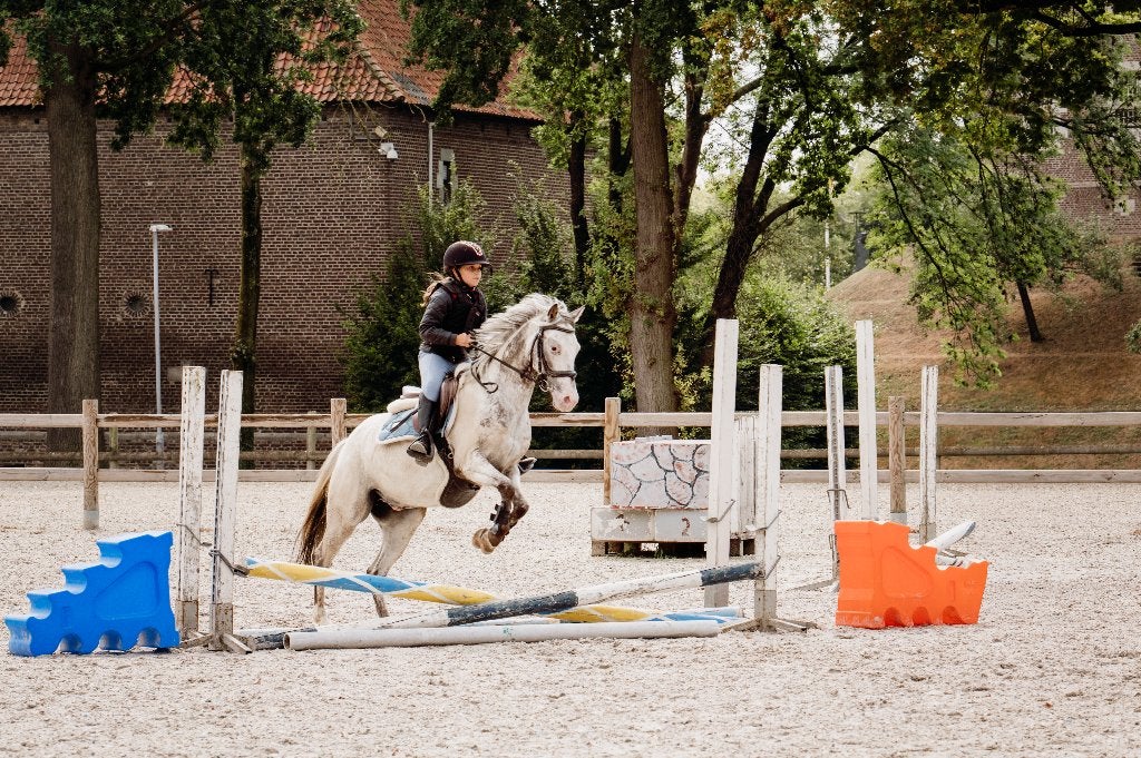 Apaloosa C Ruin te koop, Ruin, Springpony, 3 tot 6 jaar, C pony (1.27m tot 1.37m)