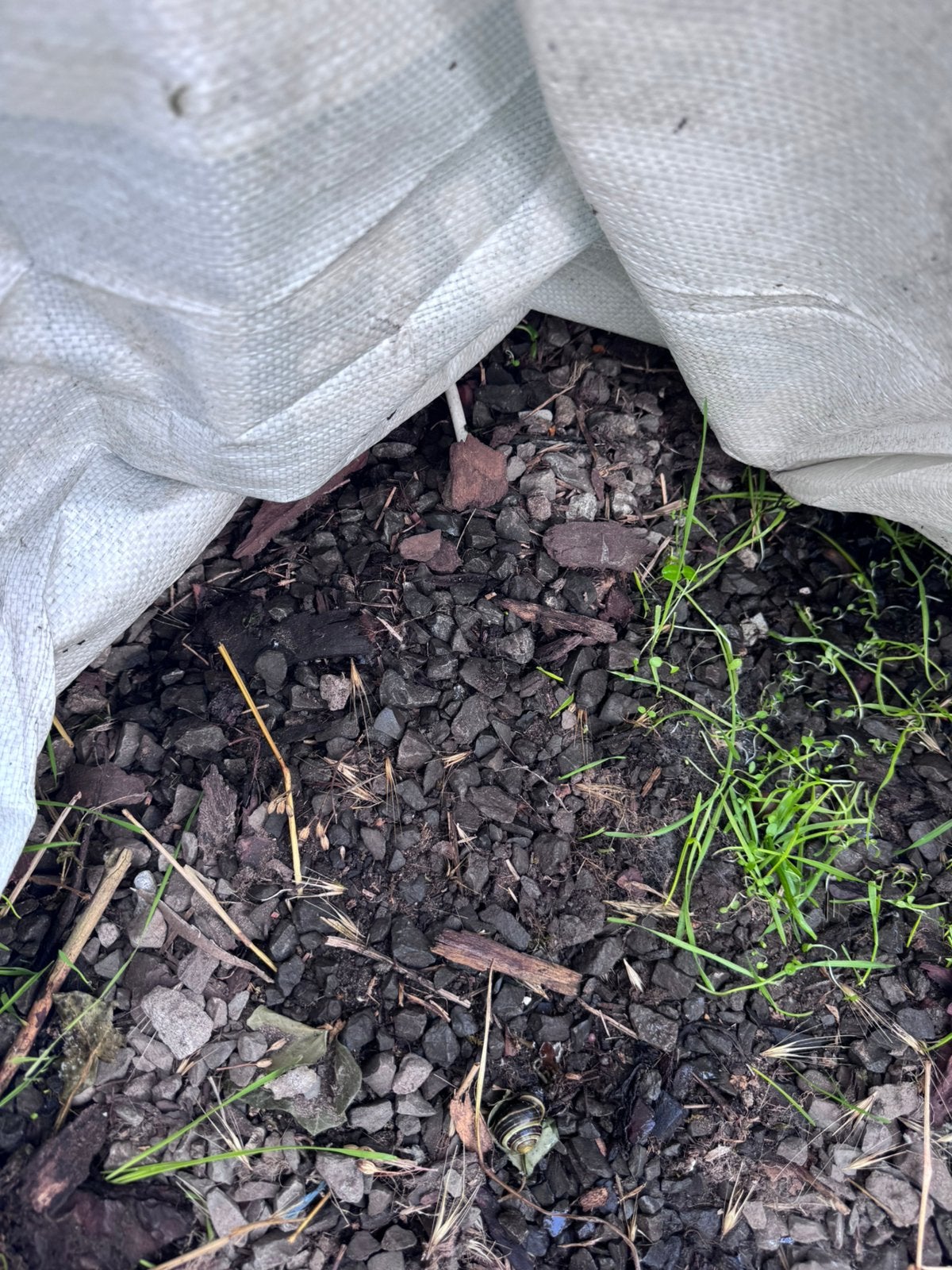Gratis +- 250 kg kleine steentjes, Tuin en Terras, Grind, Keien en Split, Ophalen, Zo goed als nieuw
