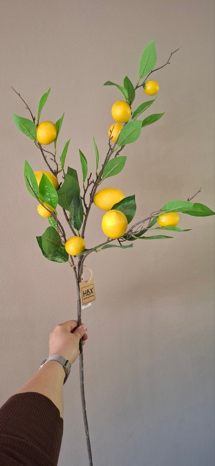 Kunst takken Lemon, Ophalen of Verzenden, Nieuw, Geel, Binnen