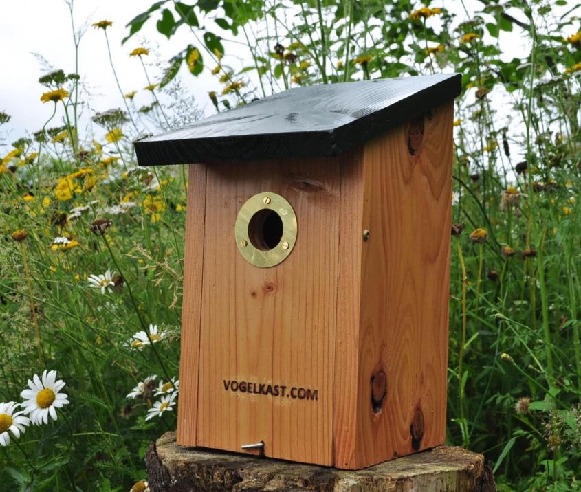 eikenprocessierups vogelhuisje - duurzaam + duurzame ring, Ophalen of Verzenden, Nieuw