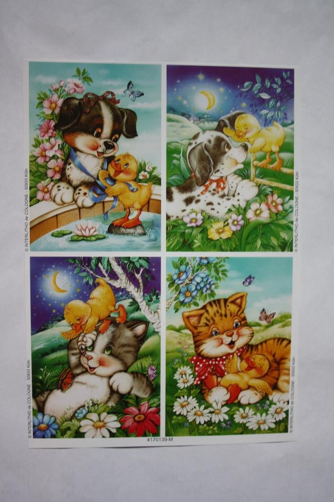 Knipvel dieren A5 9011, Ophalen of Verzenden, Nieuw, Dieren, Knipvel