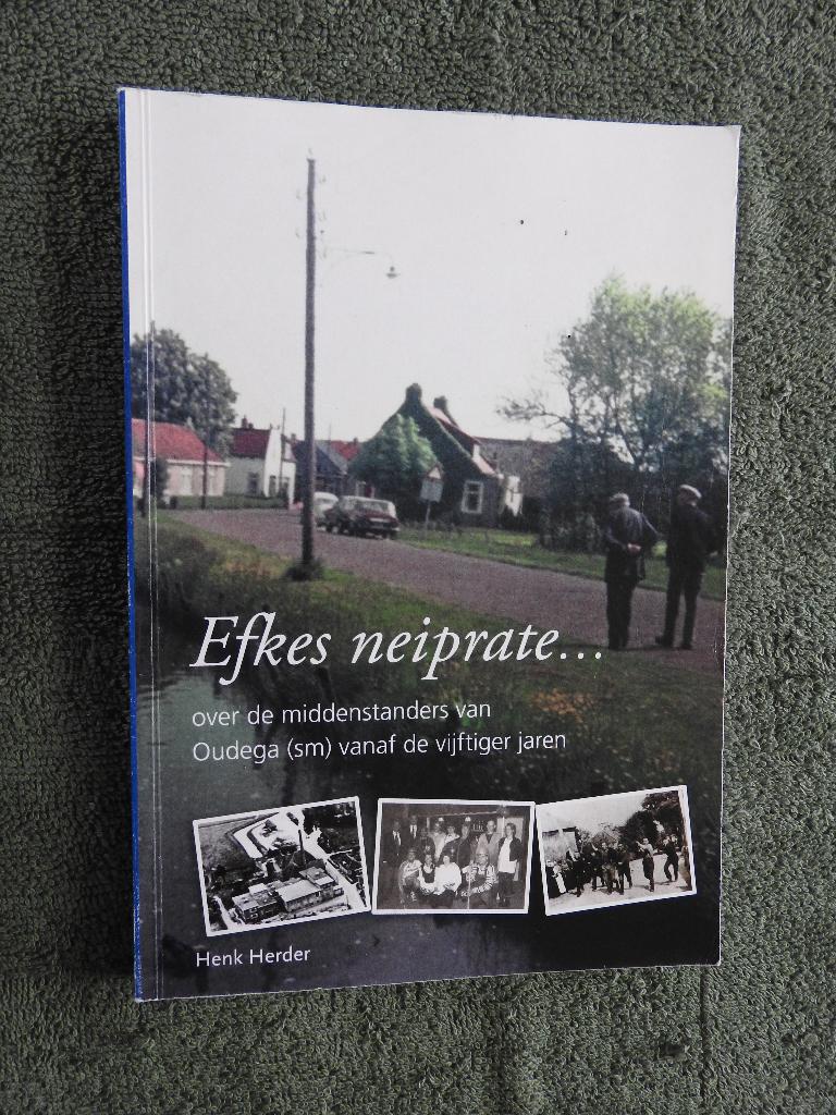 Efkes neiprate - Over de middenstanders van Oudega (sm), Boeken, Ophalen of Verzenden, Zo goed als nieuw