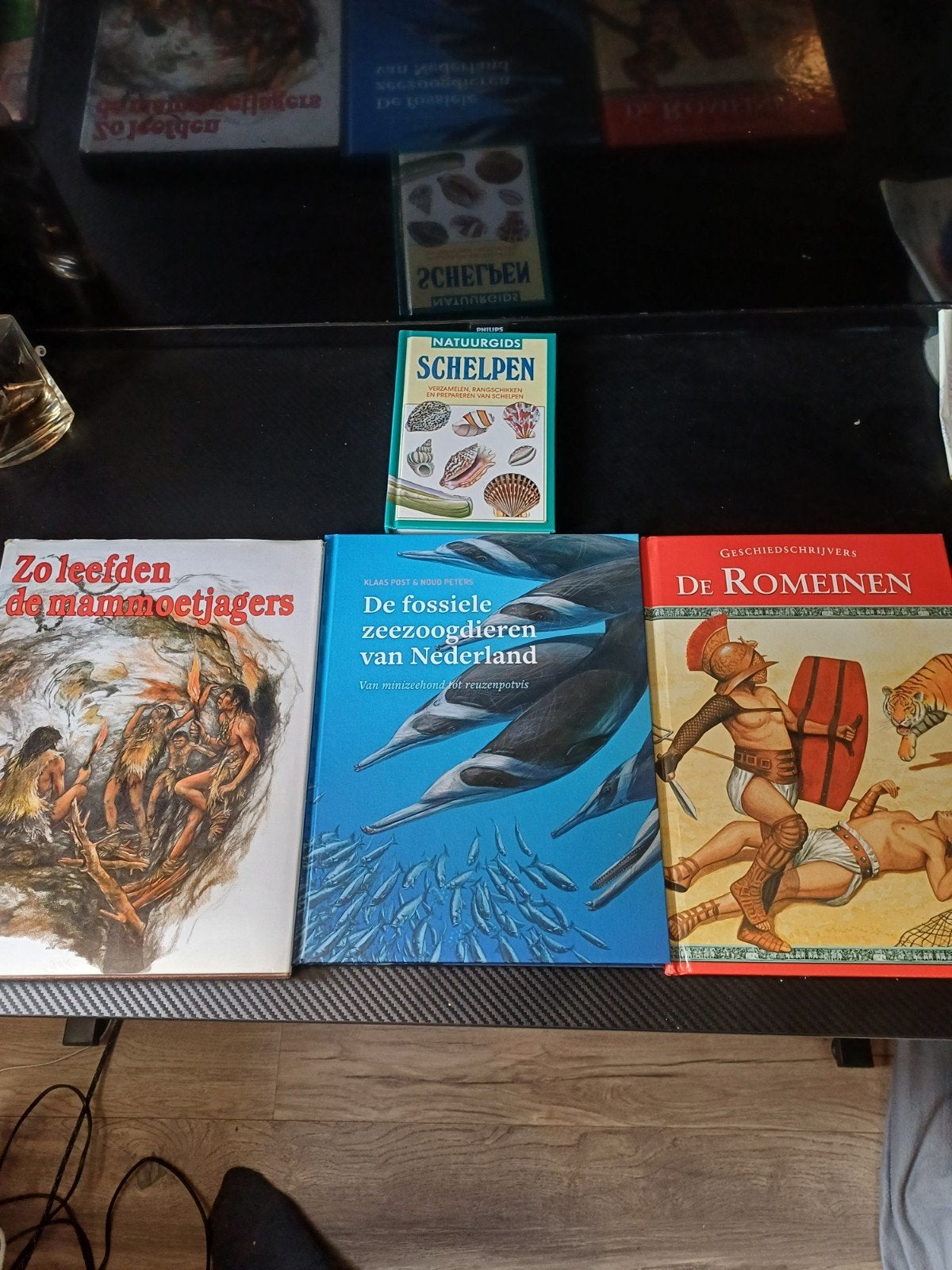 Natuur:  geschiedenis en fossielen boeken te koop., Boeken, Ophalen of Verzenden, Zo goed als nieuw, Natuur algemeen