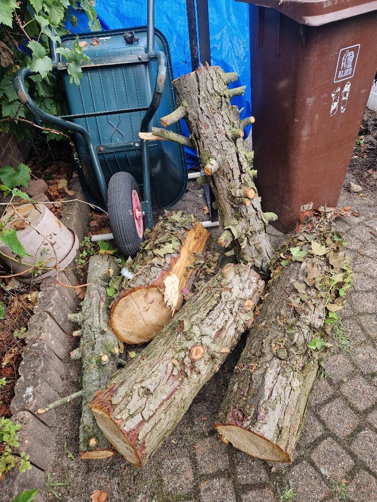 Brandhout, Minder dan 3 m³, Ophalen