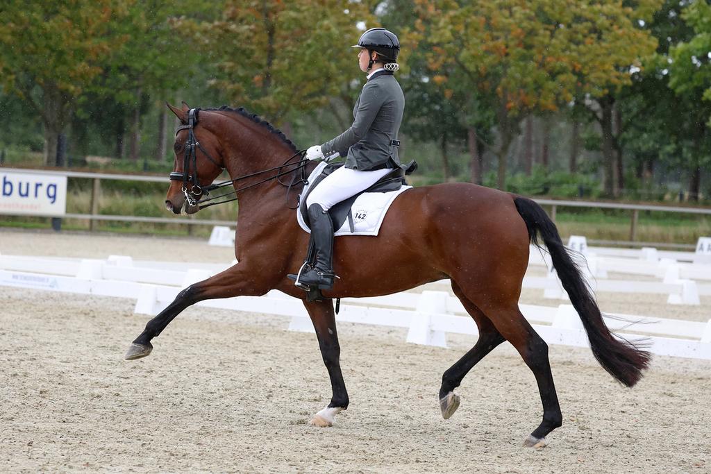 Allround instructie | paardrijles | dressuur | proefgericht
