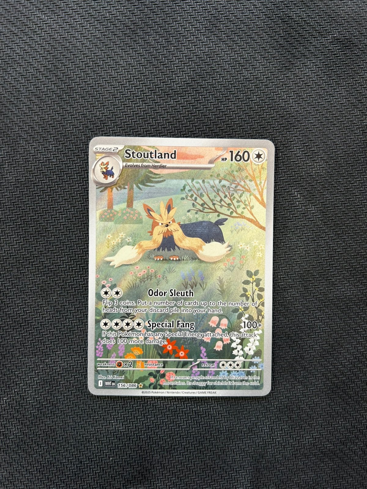 Stoutland 156/086 White Flare, Ophalen of Verzenden, Zo goed als nieuw, Losse kaart, Foil