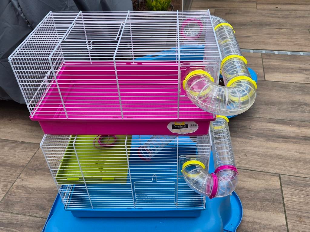 Hamsterkooi, Minder dan 60 cm, Kooi, Gebruikt, Minder dan 75 cm