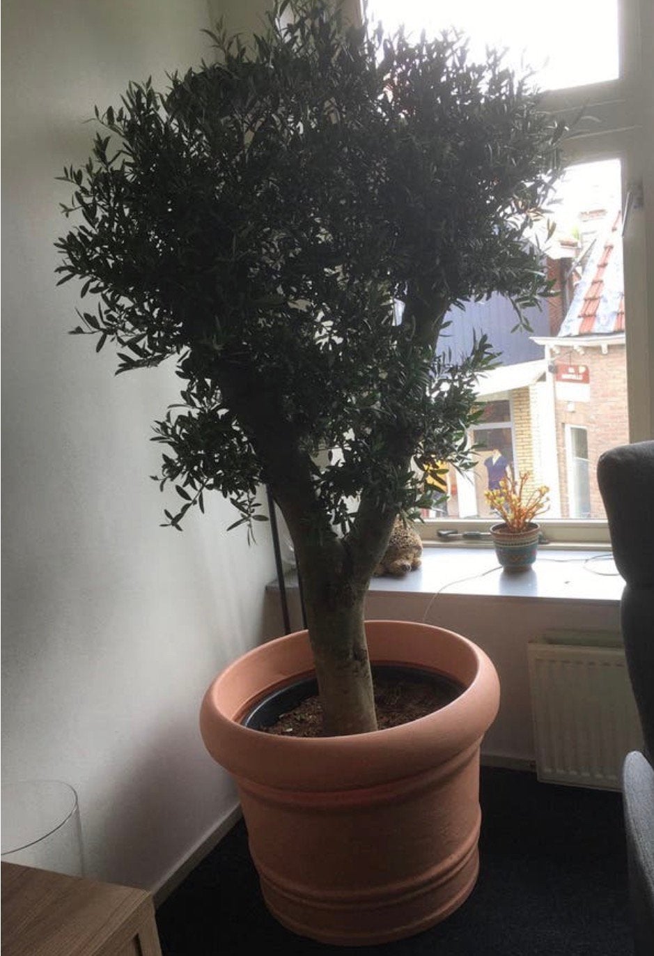 Grote kunststof bloempot, Tuin en Terras, Ophalen, Rond, Kunststof