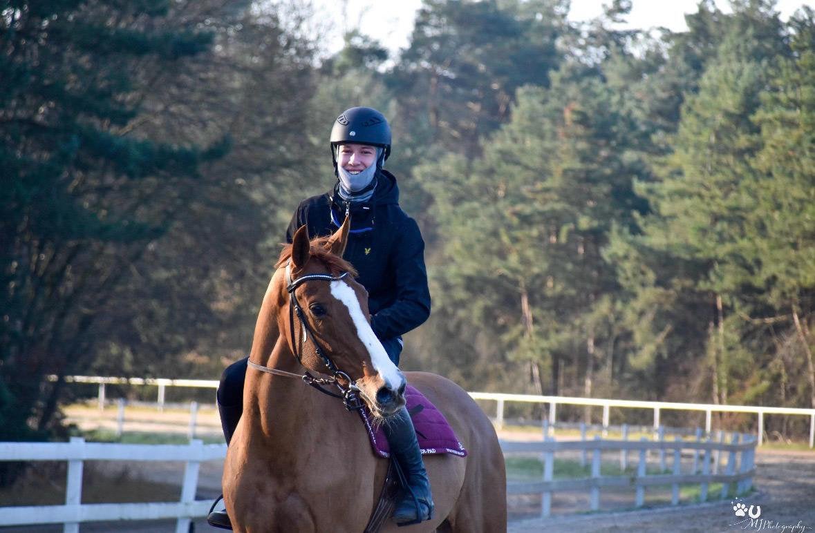 Internationaal eventing 19 jaar, Merrie, Recreatiepaard, Met stamboom