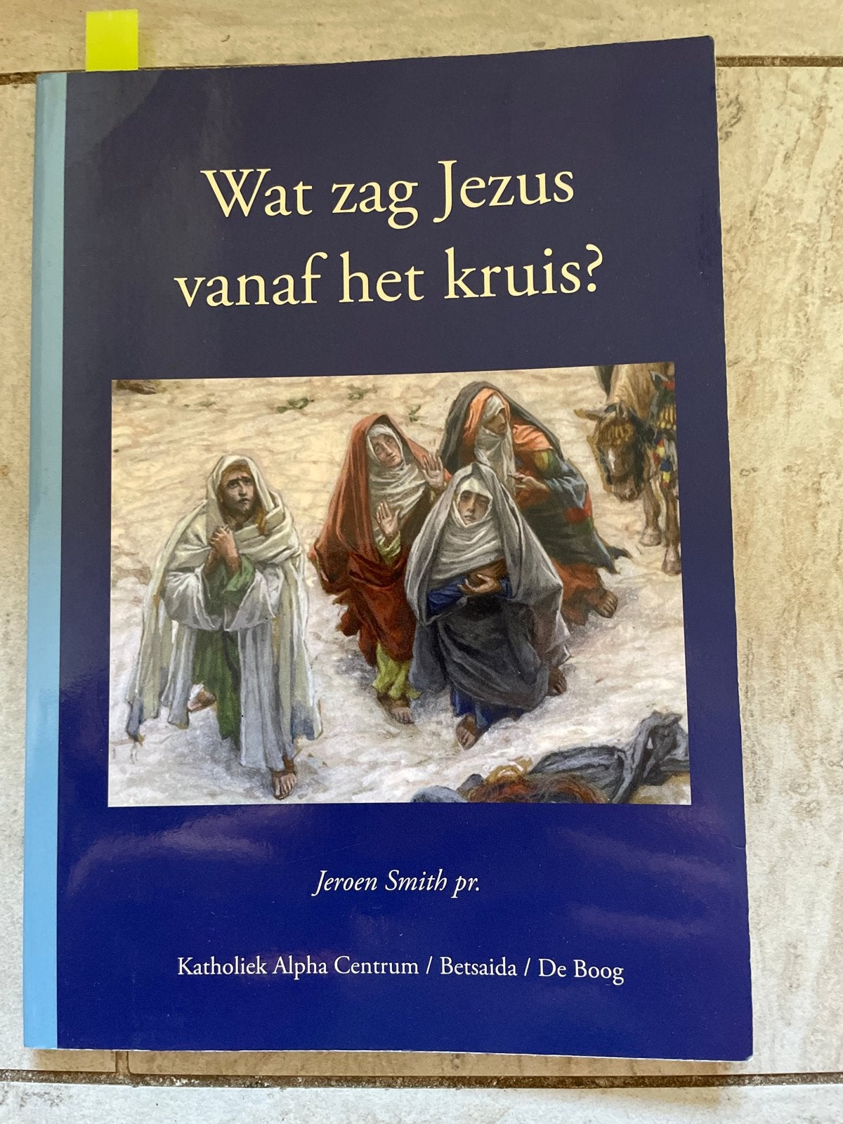 Wat zag Jezus vanaf het kruis? - Jeroen Smith pr., Ophalen of Verzenden, Zo goed als nieuw, Christendom | Katholiek