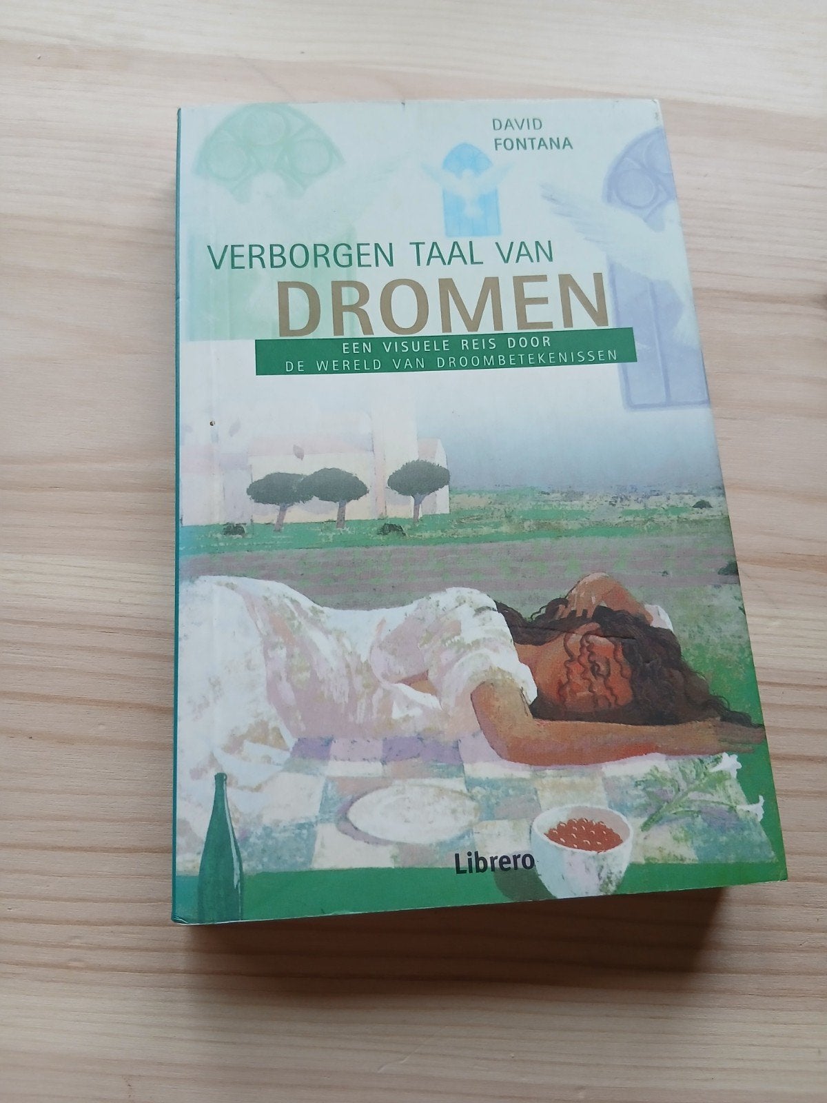 Verborgen Taal van Dromen - David Fontana, Ophalen of Verzenden, Gelezen, Overige onderwerpen, David Fontana