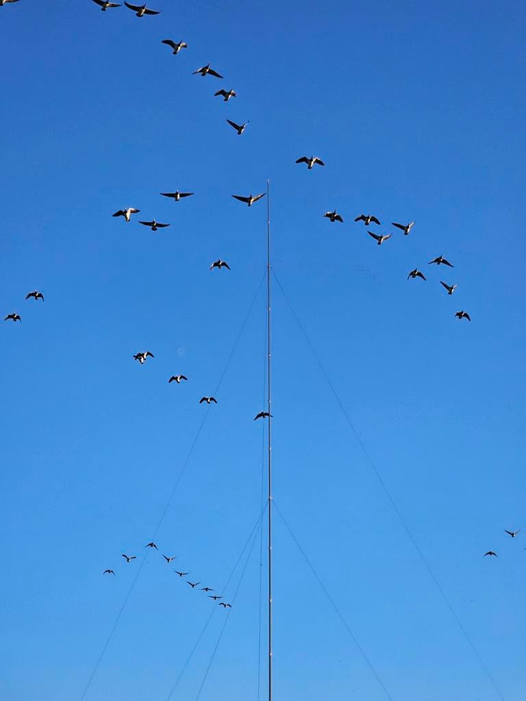 Antenne Mast 20M Portable Permanent, Telecommunicatie, Antennes en Masten, Ophalen of Verzenden, Mast
