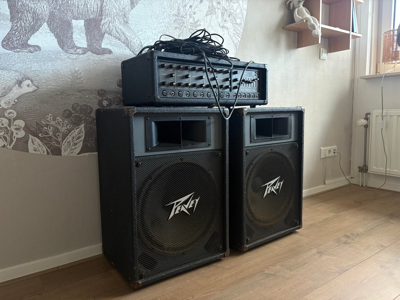 PEAVEY PA SET – XR500C + 2 GROTE SPEAKERS – €150, Ophalen, Zo goed als nieuw, Minder dan 500 watt