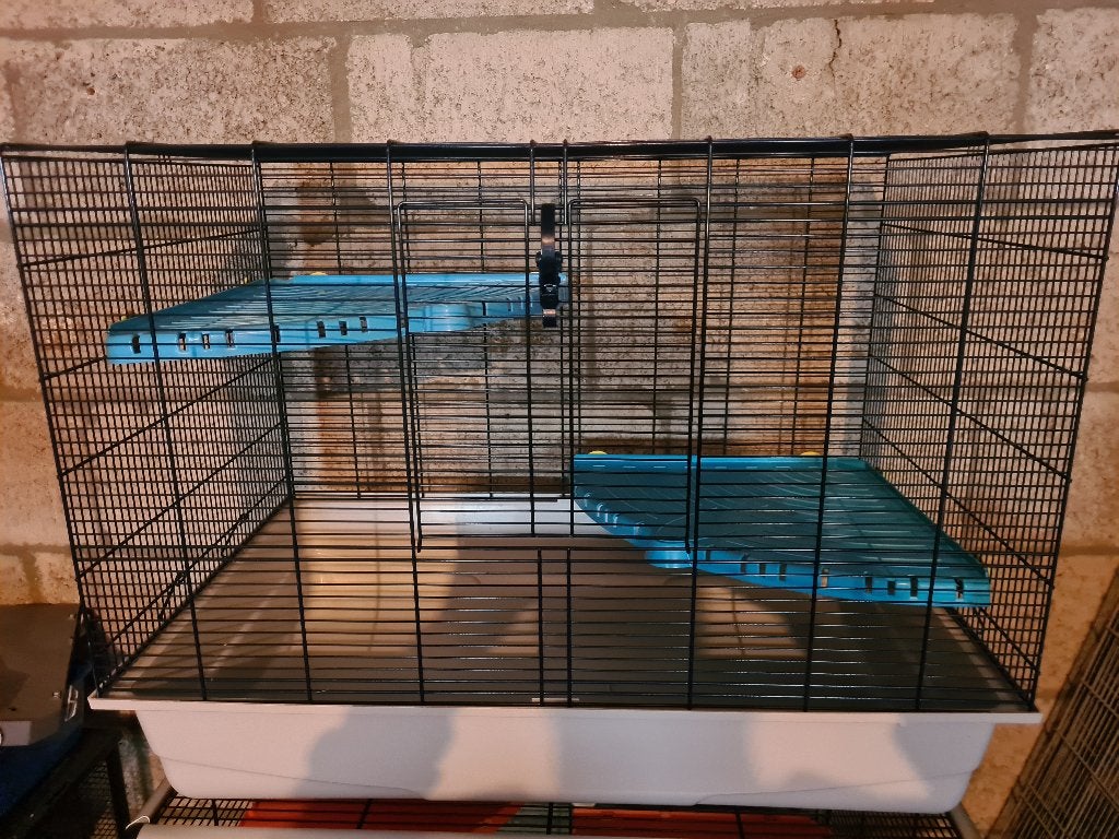 Rattenkooi 'Freddy', Ophalen, Kooi, Gebruikt, 60 tot 90 cm