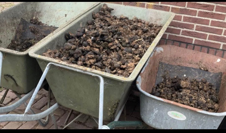 Paardenmest, Tuin en Terras, Ophalen