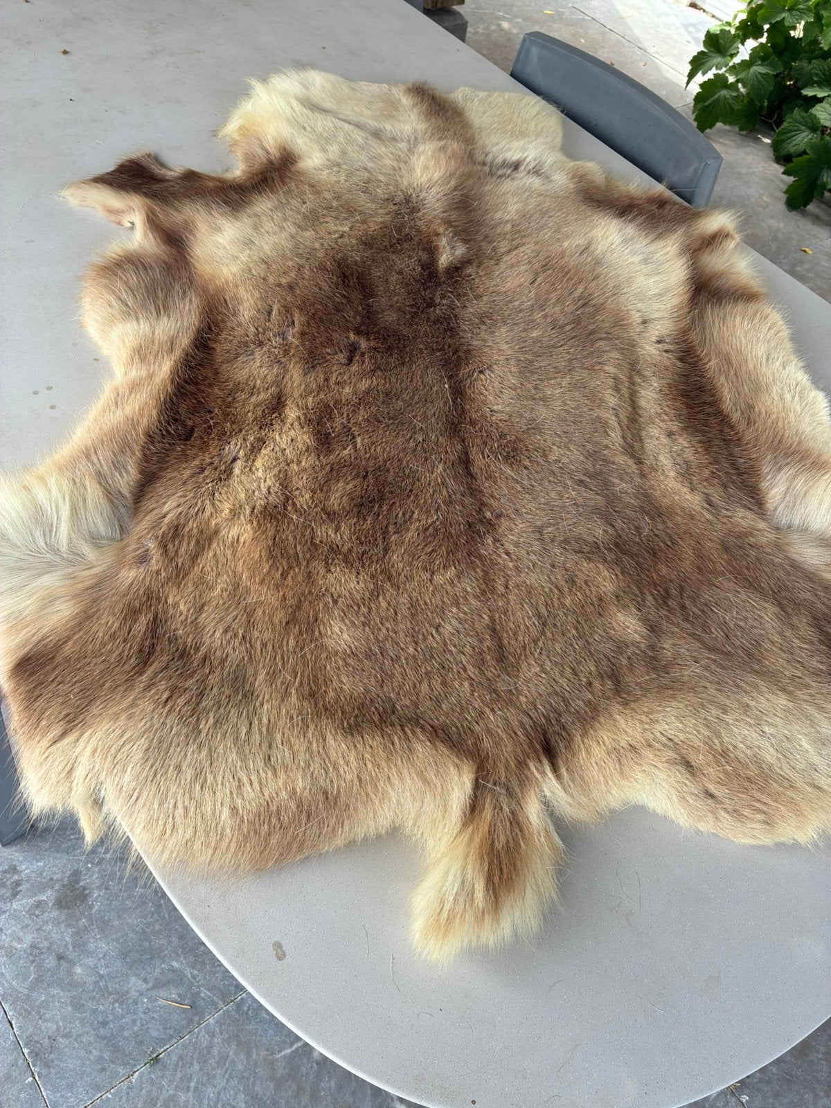 XL Rendierhuid rendiervacht huid wandkleed vacht bont, Ophalen of Verzenden, Zo goed als nieuw