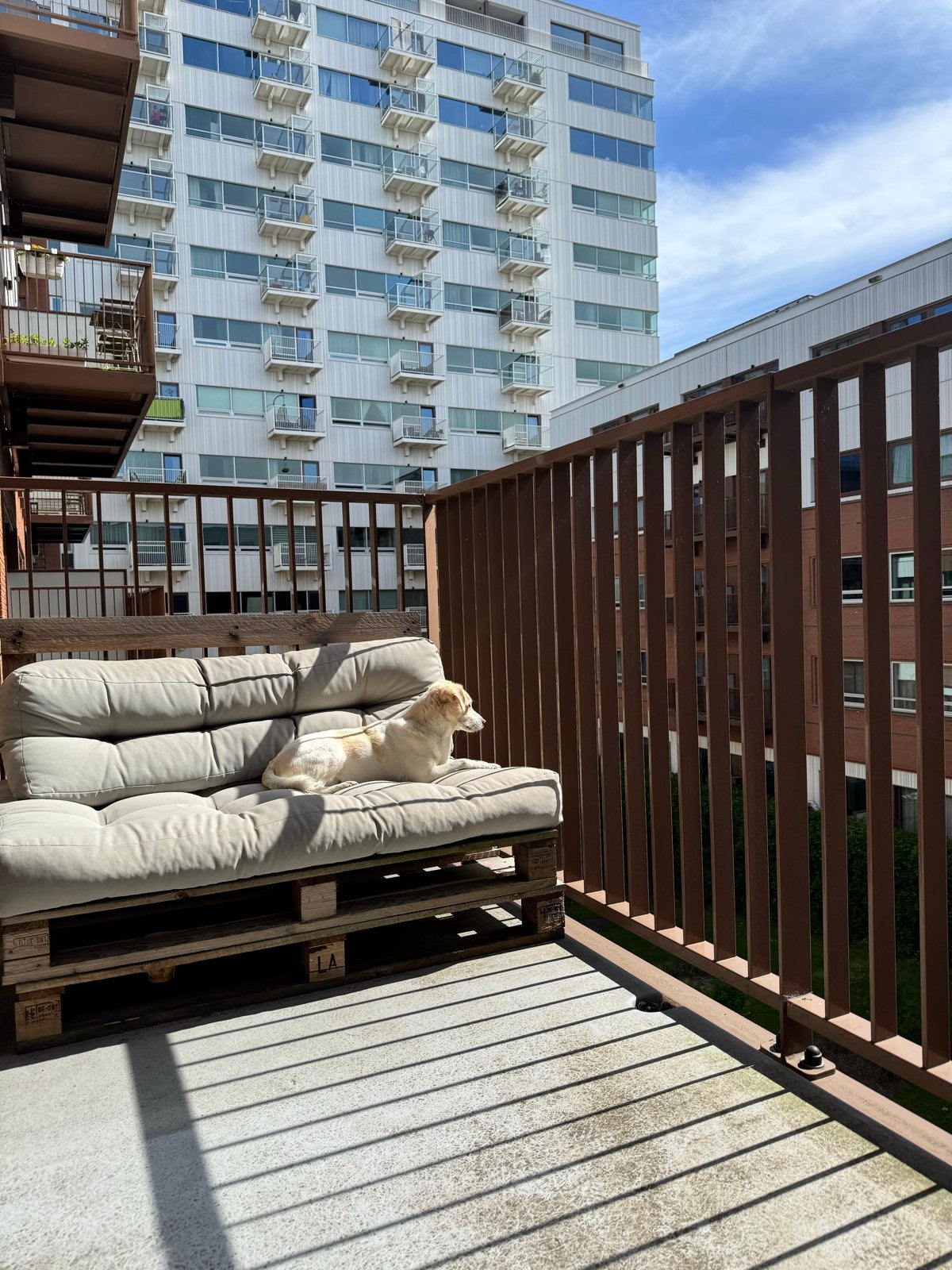 Gratis Pallet kussens 2x  - Gebruikt met lichte vlekken, Tuin en Terras, Tuinmeubel-accessoires, Ophalen, Gebruikt