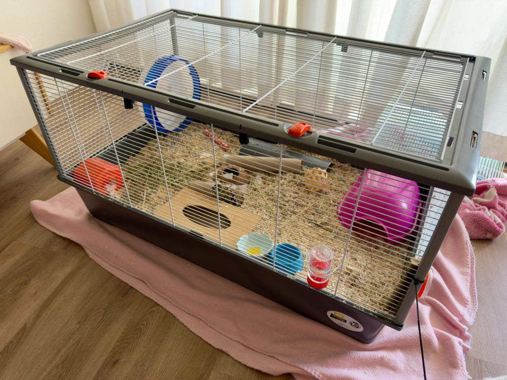 Ferplast criceti 100 nieuw, Kooi, Nieuw, Muis, 75 tot 110 cm