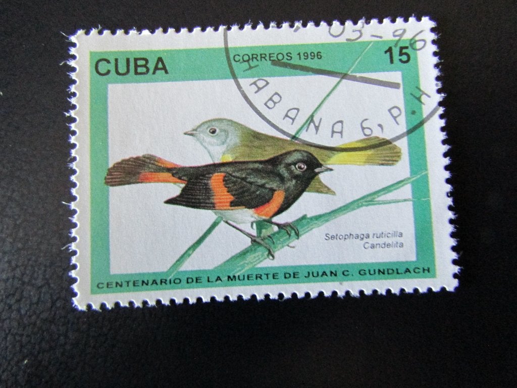 Postzegel Vogel: Noordelijke-Zanger uit Cuba, Ophalen of Verzenden, Gestempeld, Dier of Natuur