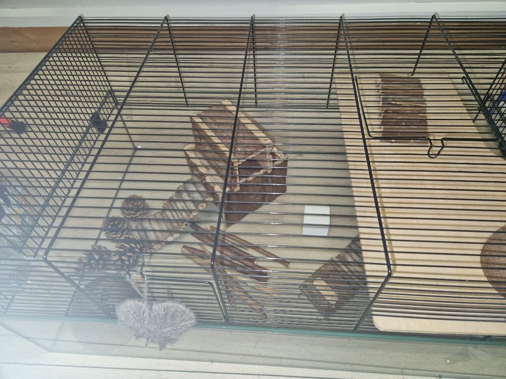 Luxe Hamster kooi, Dieren en Toebehoren, Kooi, Hamster, Zo goed als nieuw, 75 tot 110 cm