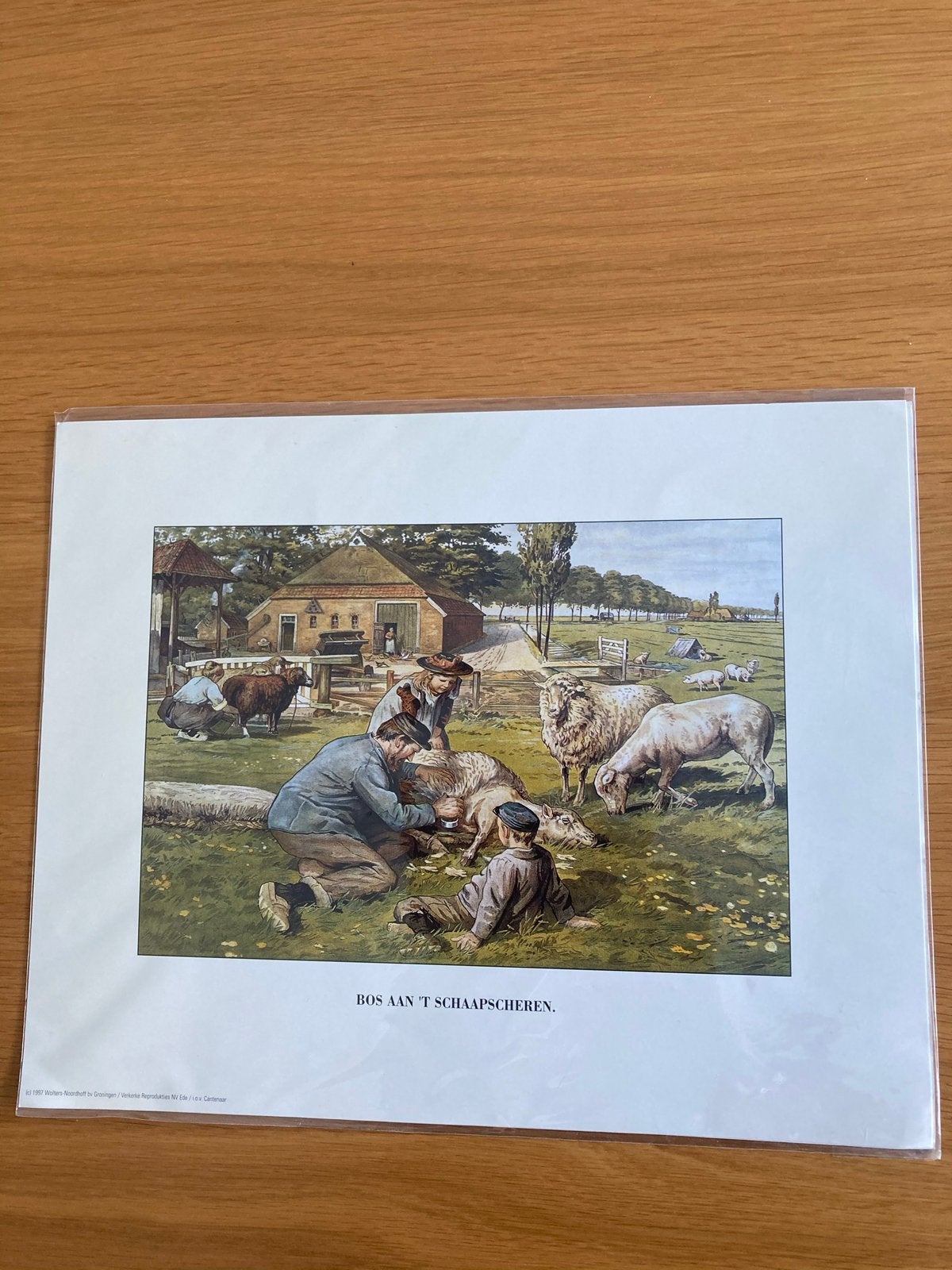Prent Bos aan het schaapscheren ( Jetses), Nieuw, Ophalen of Verzenden, Voor 1940, Dier
