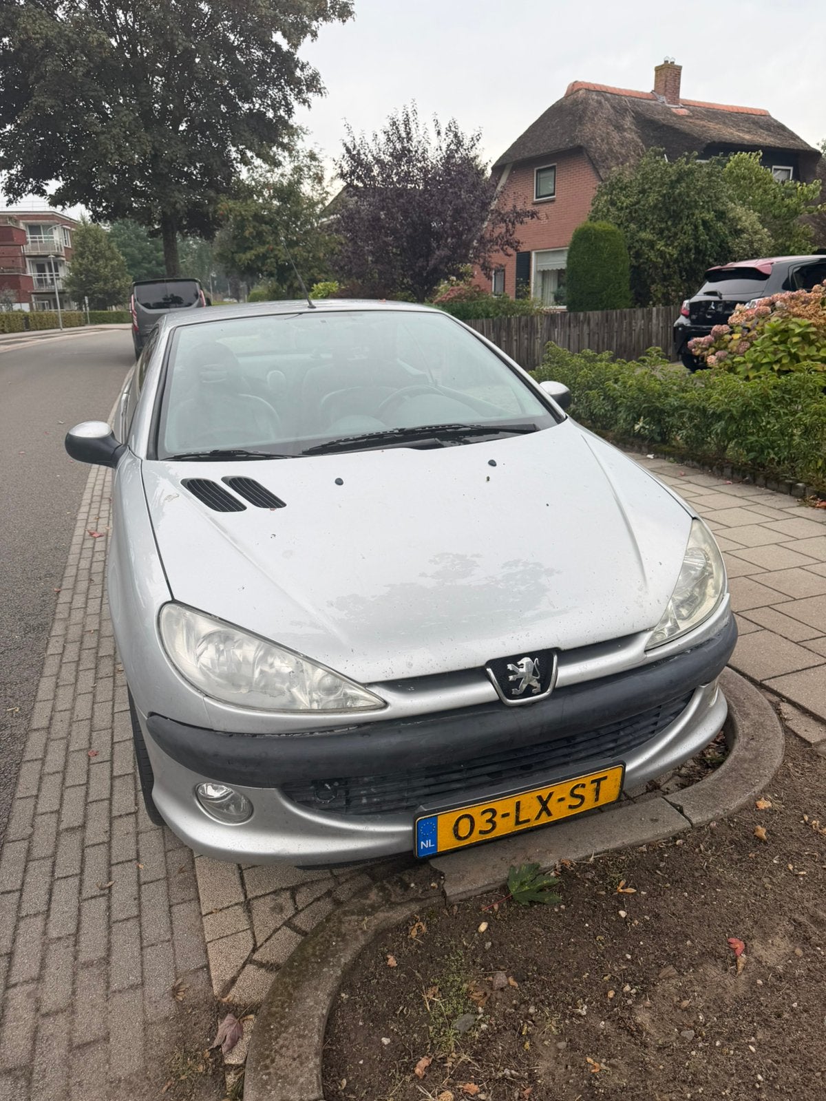 Peugeot 206 1.6 16V CC 2003 Grijs, Voorwielaandrijving, 4 cilinders, Cabriolet, 4 stoelen