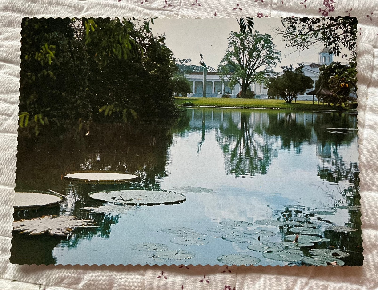 Indonesië, Bogor vijver, Verzamelen, Ophalen of Verzenden, 1960 tot 1980, Buiten Europa